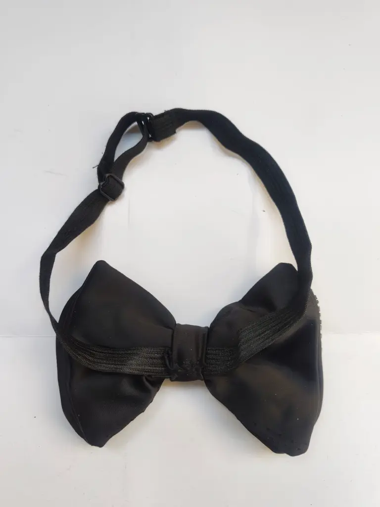 bow 8 3.webp
