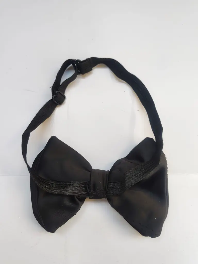 bow 9 3.webp