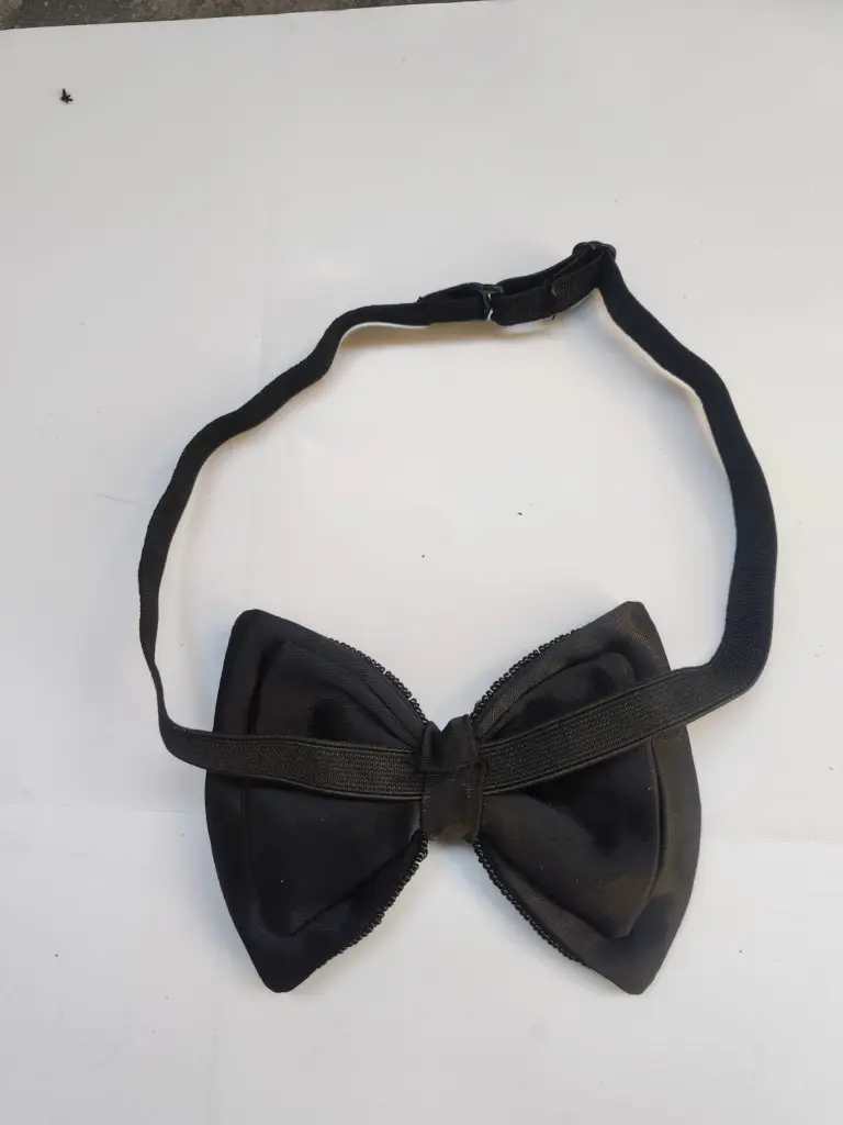 bow 10 3.webp