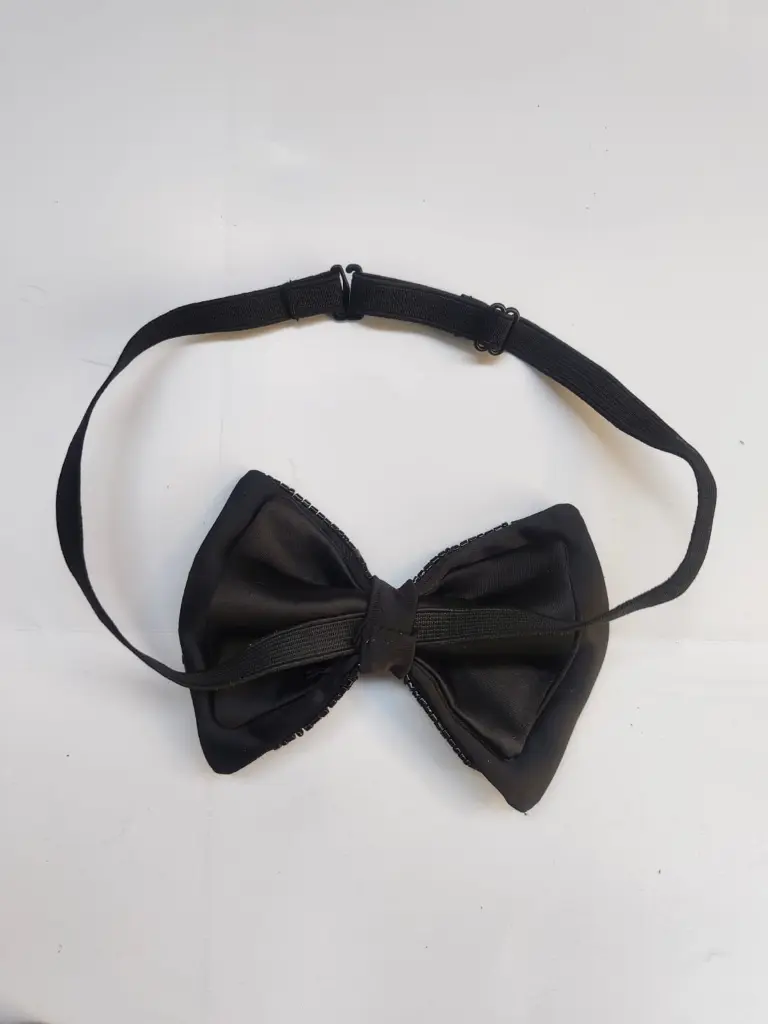bow 11 3.webp