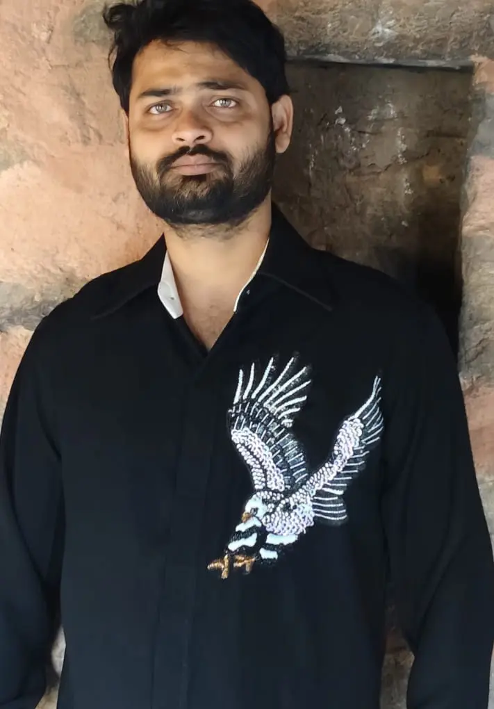 Designer Shirt Block color hand work eagle